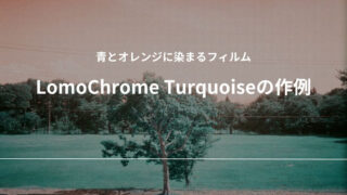 LomoChrome Turquoise 35mm ISO100–400 作例 フィルム レビュー C-41 Lomography ロモグラフィー